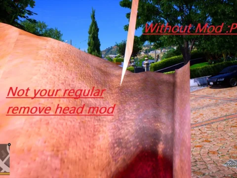 Hide Head in First Person Overlay (Not your regular remove head mod) V1.0