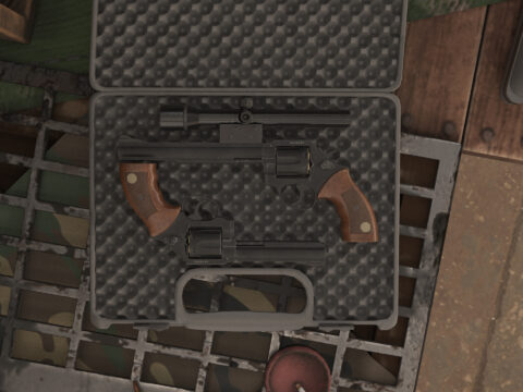 [INS2] Manurhin MR-73 V1.0