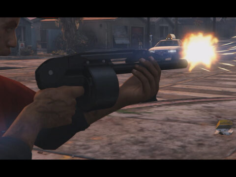 Sentinel Arms Co Striker-12