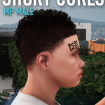 Short Curls Hair for MP Male 1.02