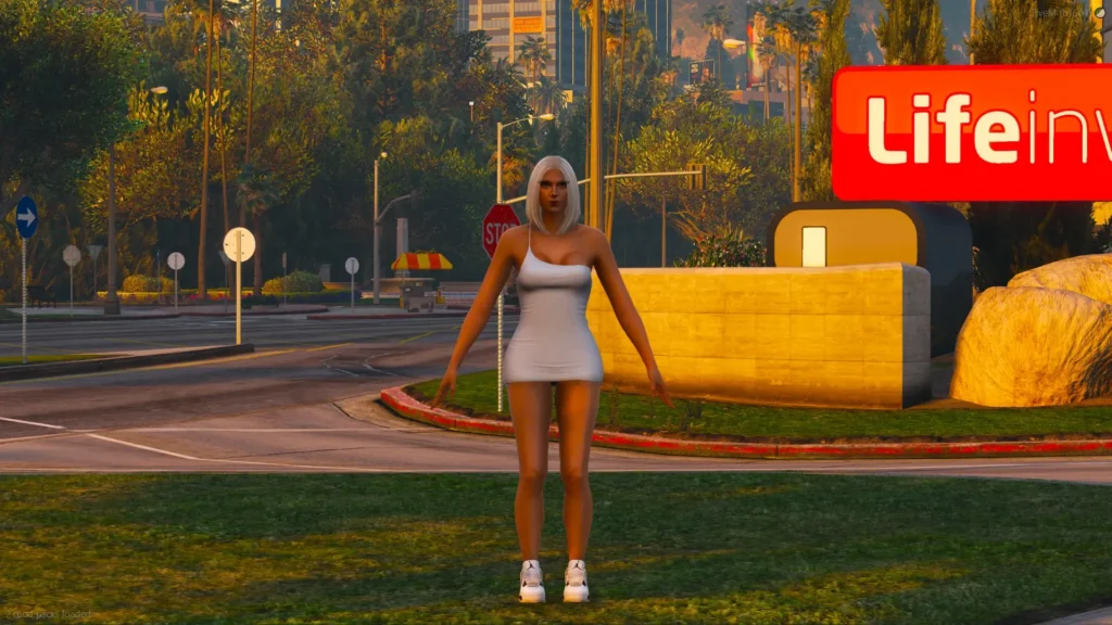Simple Dress For MP Female