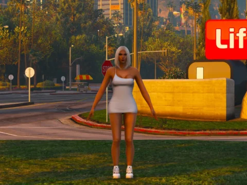 Simple Dress For MP Female