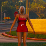 Simple Dress For MP Female2