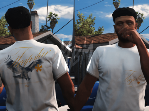 Trapstar Latest T-shirts for MP Male 1.02