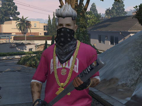 Gyan Bundle Free Fire bundle [Add-On Ped] V1.0