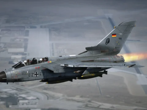 Panavia Tornado IDS [Add-On | VehFuncs V ] V1.0