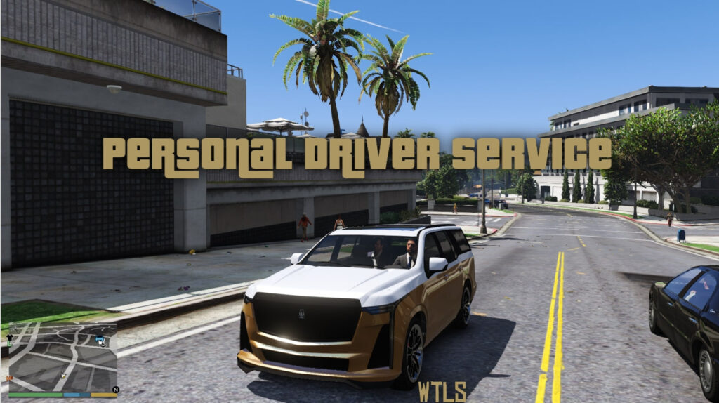 Personal Driver Service (NPC Autopilot) 