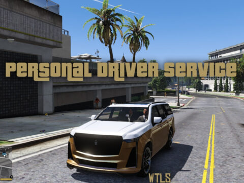Personal Driver Service (NPC Autopilot)