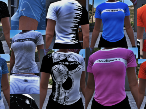 T-shirt (Male and Female) V1.0