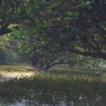 Custom (more natural) swamp Area [YMAP] 1.0