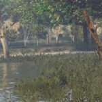 Custom (more natural) swamp Area [YMAP] 1.0