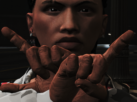 Braids for MP Male 1.0