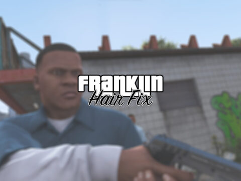 Franklin Hair Fix 1.0