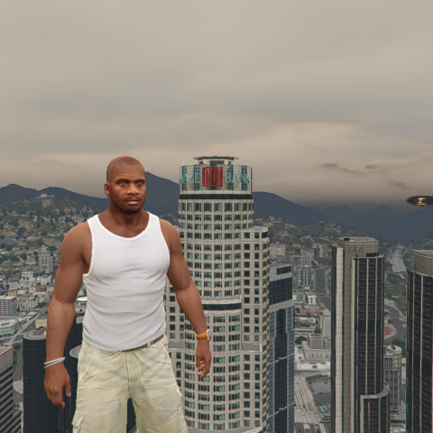 Shawn Fonteno's Face for Franklin V1.0 – GTA 5 mod