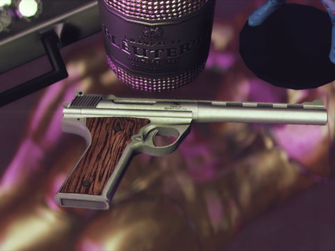 Hawk & Little Pistol .44 [Add-On | Sound | Animated | Tints | Lore-Friendly] V1.0