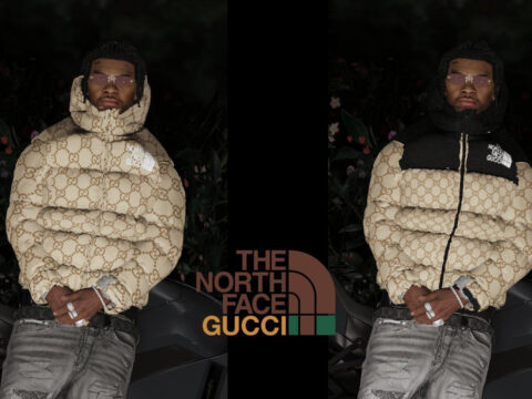 Puffer Jacket North Face Gucci For Franklin 1.0