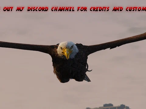 Real Eagle (Replace)