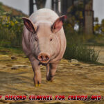 Realistic Pig (Replace) V1.0