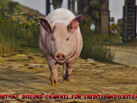 Realistic Pig (Replace) V1.0