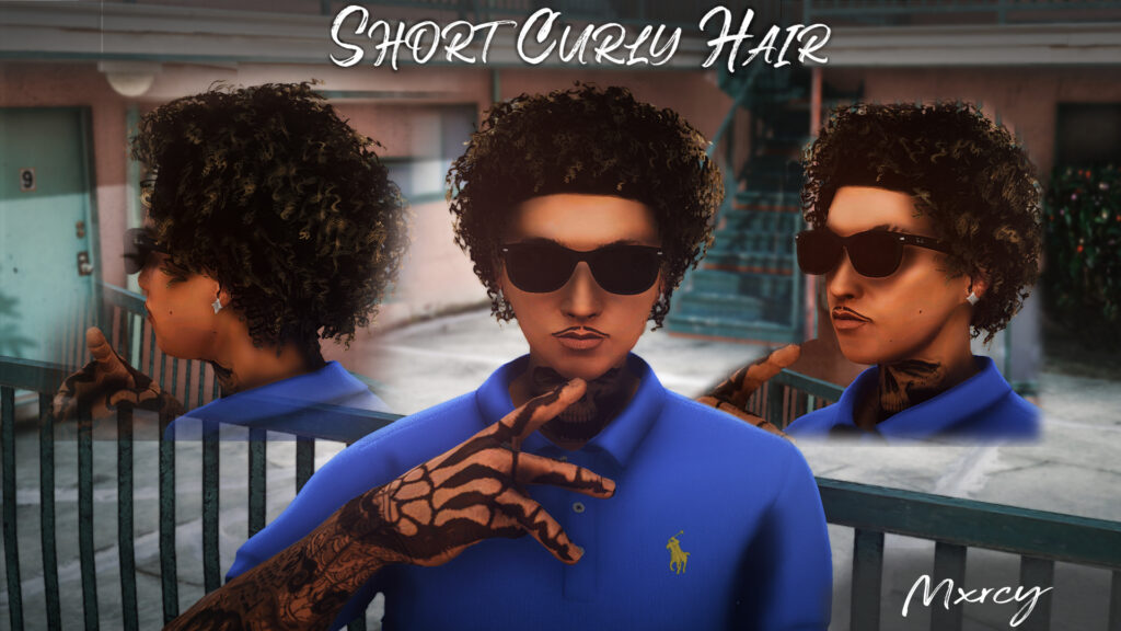 Short Curly Hair for Mp Male 1.0