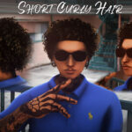 Short Curly Hair for Mp Male 1.0