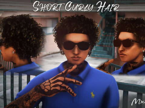 Short Curly Hair for Mp Male 1.0