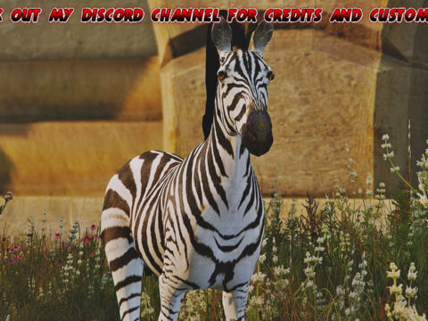 Zebra 1.0