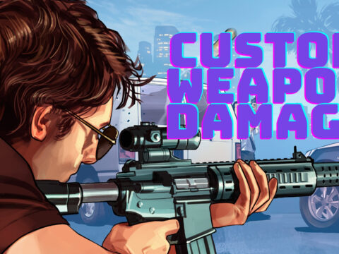 Custom Weapon Damage [.NET] V1.0