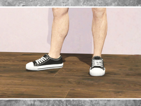 Female fake converse shoes to Male