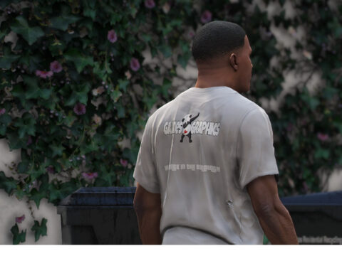 Graphics T-Shirt for Franklin 1.0