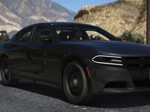2018 Dodge Charger Unmarked
