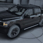 2019 Ford F150 Civilian