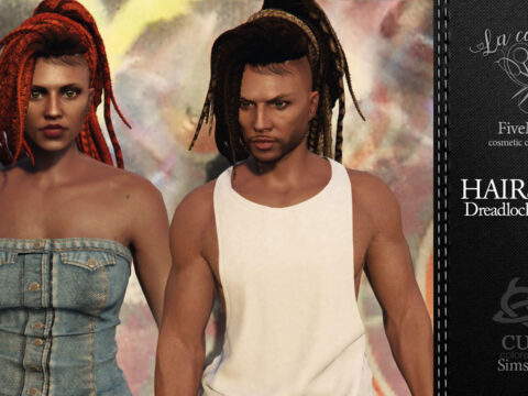 Dreadlocks and braids hairstyle FEM+MALE v1