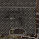FN 509 V1.0
