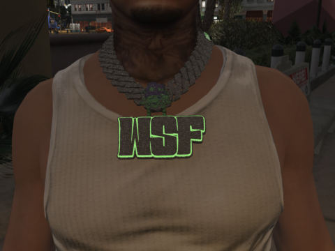 "WSF CHAIN" AND GUN