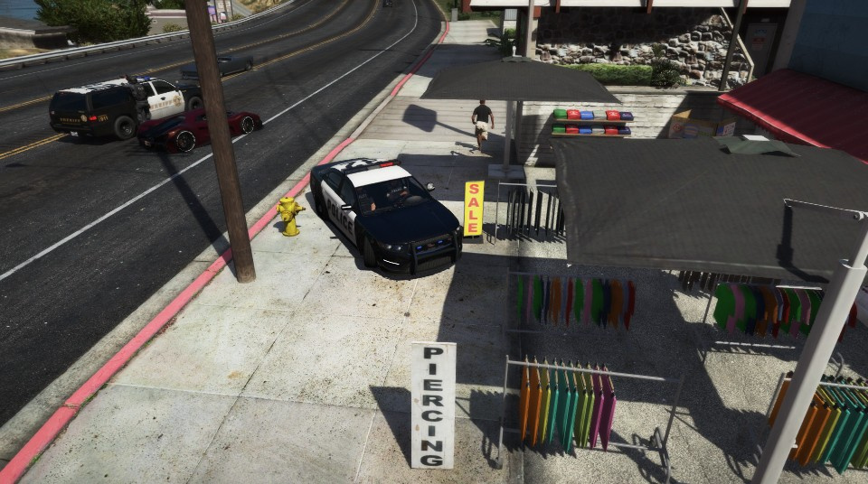 Brakeless Police Vehicle