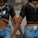 Harness Top
