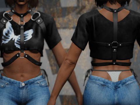 Harness Top