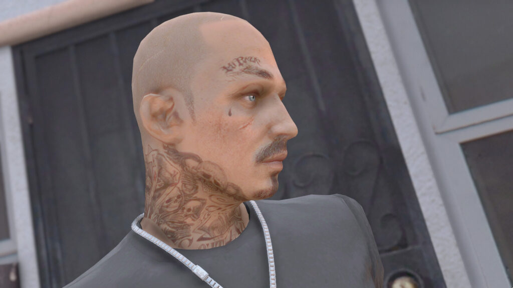 Joker | Face Skin for MP Male 1.0