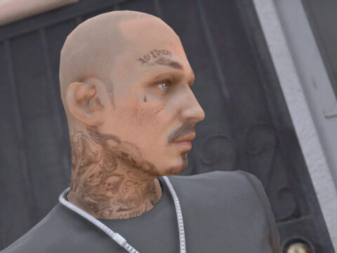Joker | Face Skin for MP Male 1.0