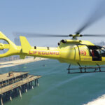 Lifeguard Frogger [Add-On] V1.0