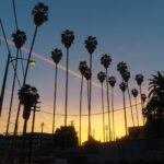 Los Angeles Vegetation (YMAP) 1.1