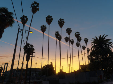 Los Angeles Vegetation (YMAP) 1.1