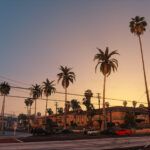 Los Angeles Vegetation (YMAP) 1.1