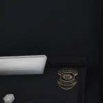 Los Santos Police Department Pins & More V1.0