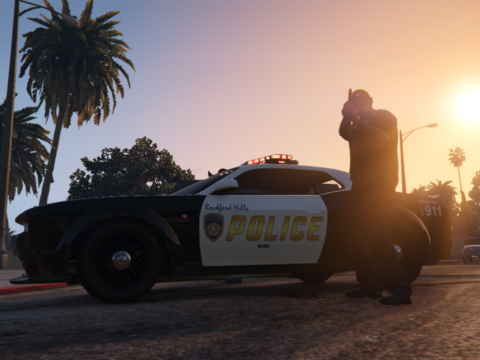 MP Police Vehicles in SP 1.0