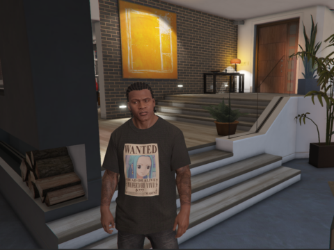One piece t shirt for Franklin 1.0