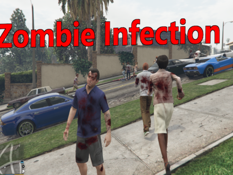 The Zombie Infection