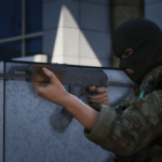 AKMS3