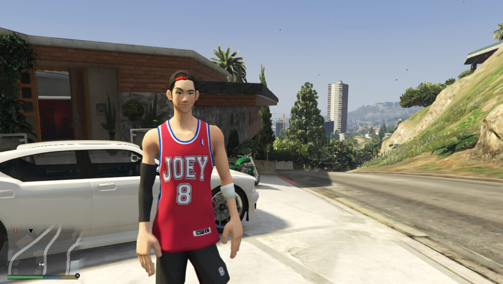 Rebound Joey